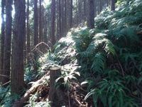 お正月の支度