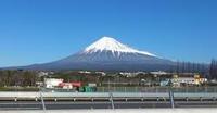 目の保養
