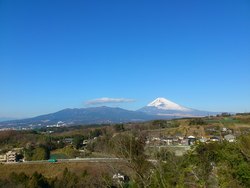 横から