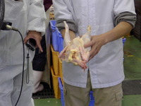 鶏がらスープは・・・