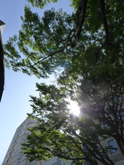 青空市0416