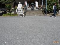 楽しんだ撮影会
