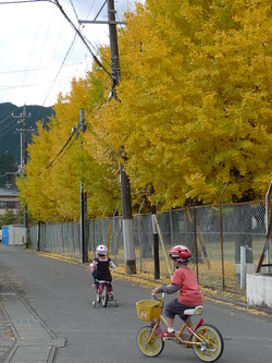 黄色のサイクリング