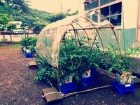 管理作業
