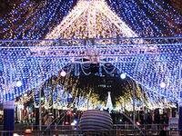 ☆★クリスマスイルミネーション★☆