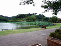 蓮華寺