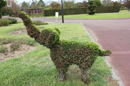 公園の花たち、木々たちがんばれ！