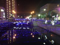 静かなクリスマスイブでした