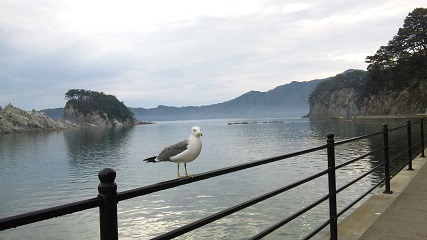 お土産