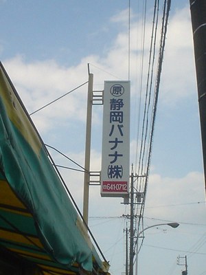 藤枝探訪