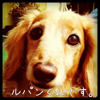 ドックカフェ!?②