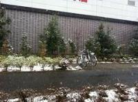 大雪の中、コストコ多摩店へ。