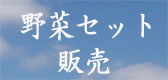 旬の無農薬有機野菜セットの紹介