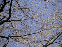 2012年04月10日