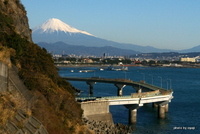 大崩海岸