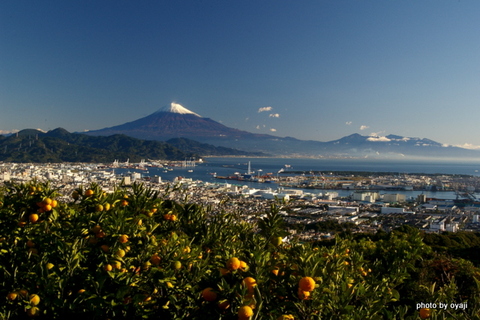 今朝の富士山・・