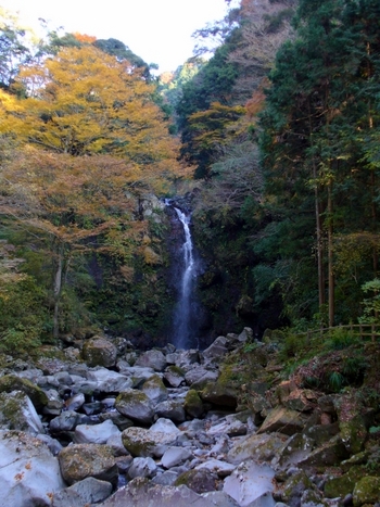 須津川渓谷の紅葉