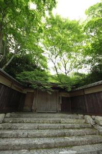 瑠璃の茶会