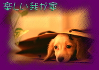 画像の