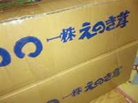 同居生活？それとも、同棲？？ひさびさ私の野菜室・・