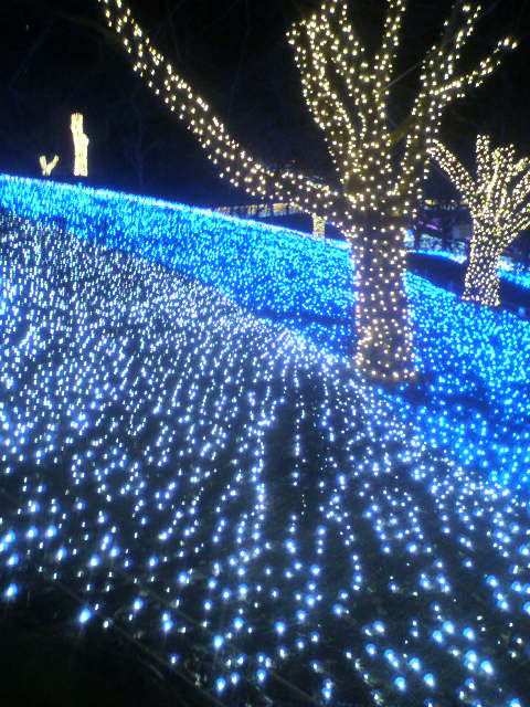 2011キャンプ