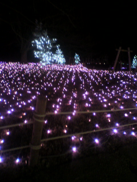 2011キャンプ