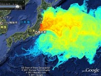 今日は我が身・・・