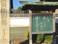 追いつけ追い越せ！