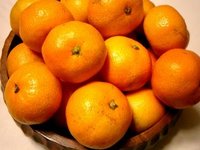 静岡県民は風邪を引かない！？