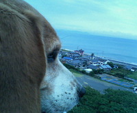 2010年10月26日