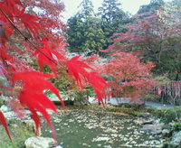 2010年11月30日