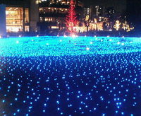 2010年12月07日