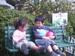 春　♪