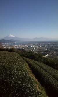 日本平へ