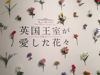 ゴールデンウィークのお出掛けに