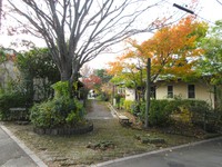 後ろ三つ剥ぎ裏起毛