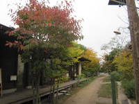 池田の森の紅葉