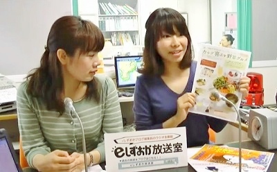 womo編集部員が語る、野菜ランチ特集！