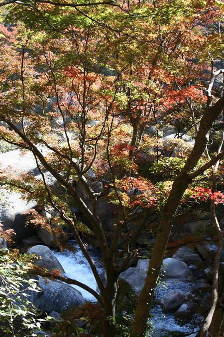 河口湖、昇仙峡（3）