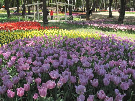 ひたち悔浜公園（2）