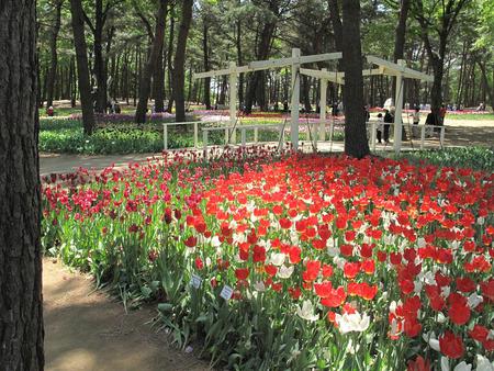 ひたち悔浜公園（2）