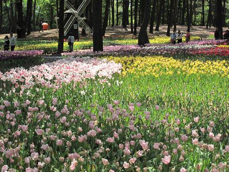 ひたち悔浜公園（2）