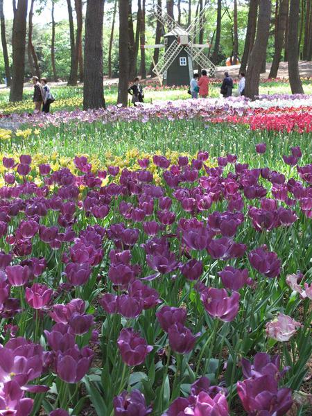 ひたち悔浜公園（2）