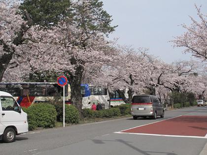 小田原紀行（3）
