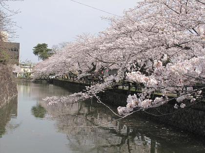 小田原紀行（3）