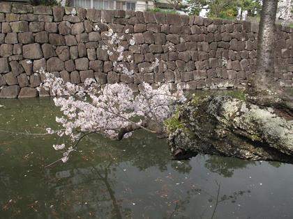 小田原紀行（3）
