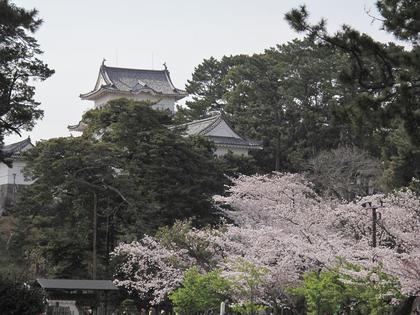 小田原紀行（4）