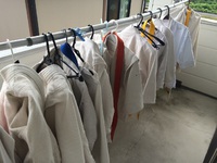 お盆休みのお知らせ