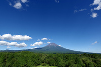 得るもの、失うもの
