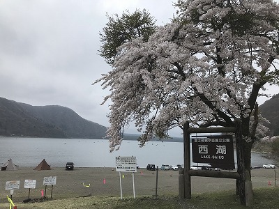 チャレンジ富士五湖100ｋｍです。